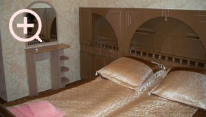 izumrudniy_mvd_nomer_standart_1