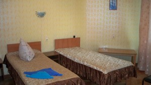 izumrudniy_mvd_nomer_standart_2